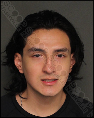 DUI: Alan Bravo attempts suicide by overdosing on pills & crashing into pole