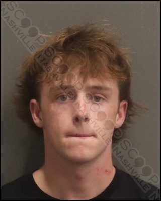 Drunk in Public: Brentwood teen Burton ‘Gage’ Verner jailed after resisting arrest & using fake ID