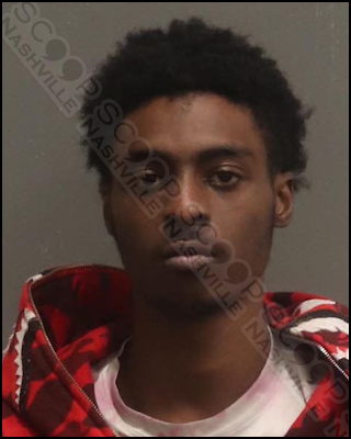 Keterrius Stegall punches girlfriend in face & steals car keys during argument