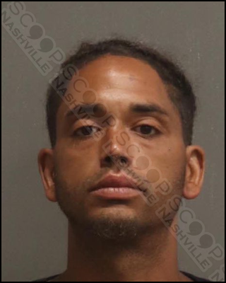 Anthony White assaults girlfriend, punches hole in her bedroom door during altercation