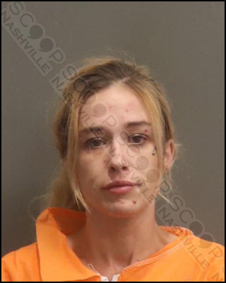 DUI: Ashton Grams flips her car with 4 young children inside after drinking Bud Light