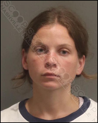 DUI: Jamee Crowe crashes into parked car after drinking two “very large” margaritas