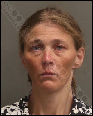 Heather Mclemore found screaming & crying in roadway after using meth