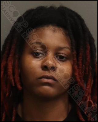 Janea Roberston punches girlfriend in face during altercation over her keys