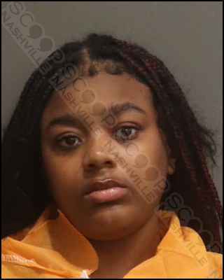 DUI: Kezia Williams drives over sidewalk at Sam’s Club, tells her friends “those lights were bright as f*ck”