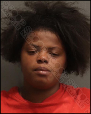 “Miss Pink” Kyndrea Olawumi punches woman multiple times while fighting her brother