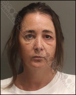 DUI: Leah Van Arsdale scores .381% BAC after driving to hospital with her 4-year-old child