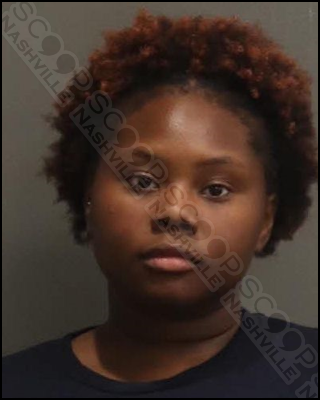 Mykiah Sherwood-Scott destroys ex-girlfriend’s air mattress with pocket knife during altercation