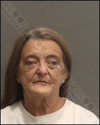 DUI: Patricia Ash caught with opened bottle of Jim Beam in purse after blocking traffic lane