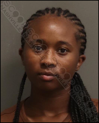 Zatiyah Dixon douses boyfriend in bleach, destroys his phones during altercation