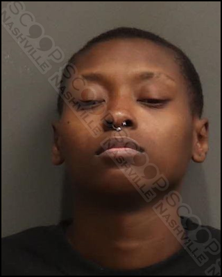 Ashlee Muse assaults roommate with knife during fight at their Harding Place Apartment